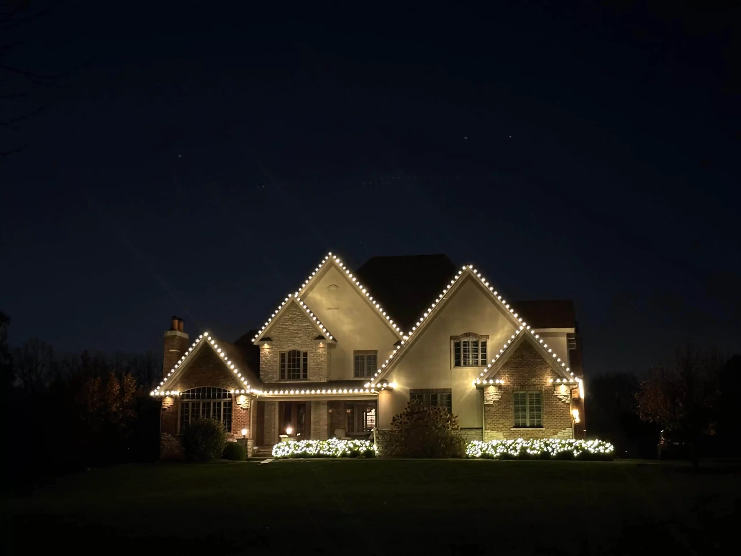 Tree wraps and front elevation lighting